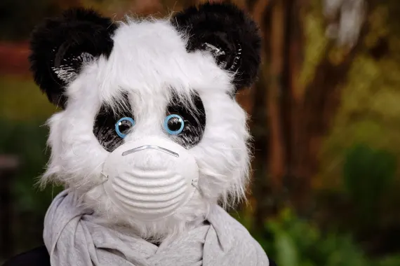 Casino Cabaret Club Ënnerstëtzung